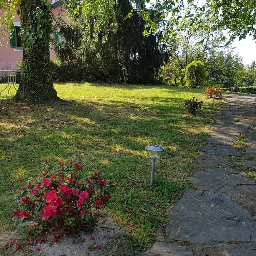 Villa Le Vignole Ameno Екстериор снимка